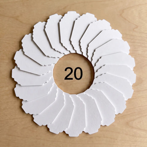 Special Paper (20)