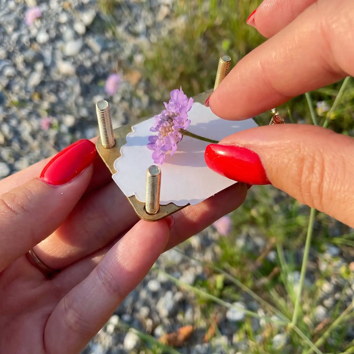 Pick Your Flower